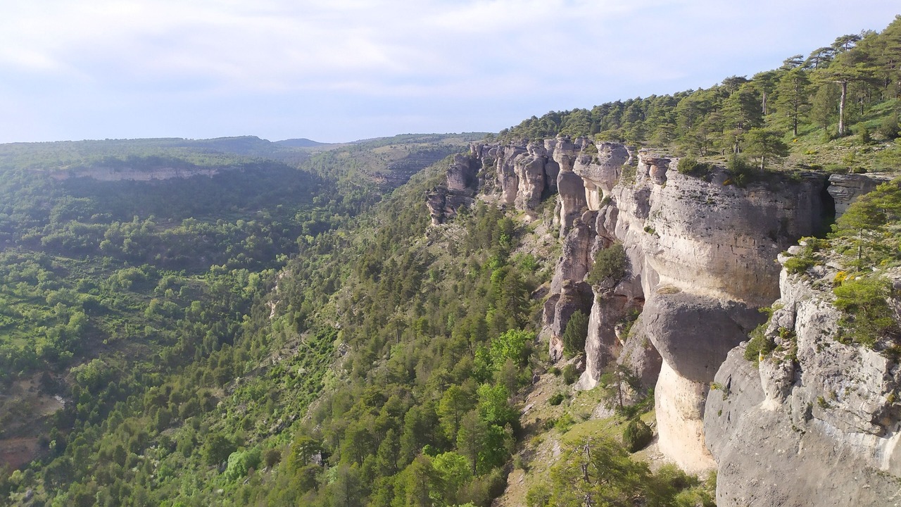Photo of Outdoor in Las Majadas