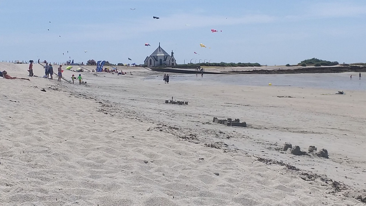 Photo of Others in Penvins
