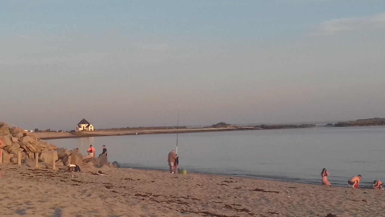 Photo of Others in Penvins