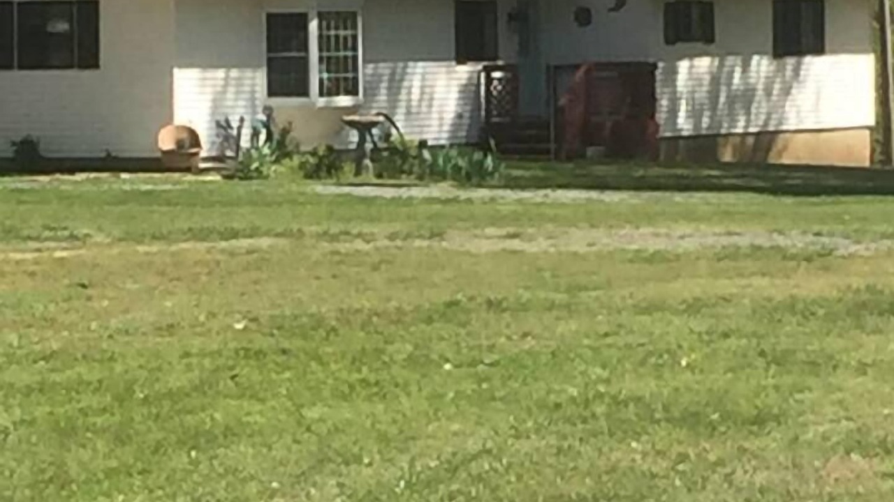 Photo of Others in Stonefort