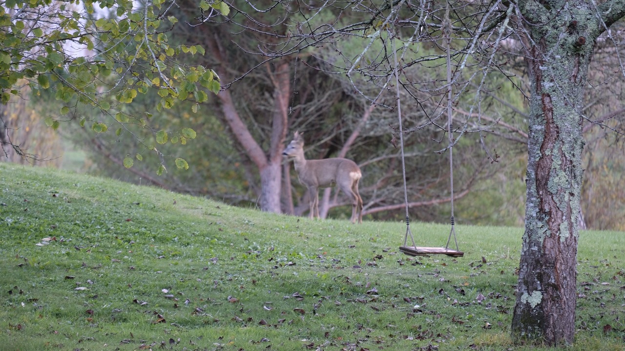 Photo of Outdoor in Saint-Pe-Saint-Simon