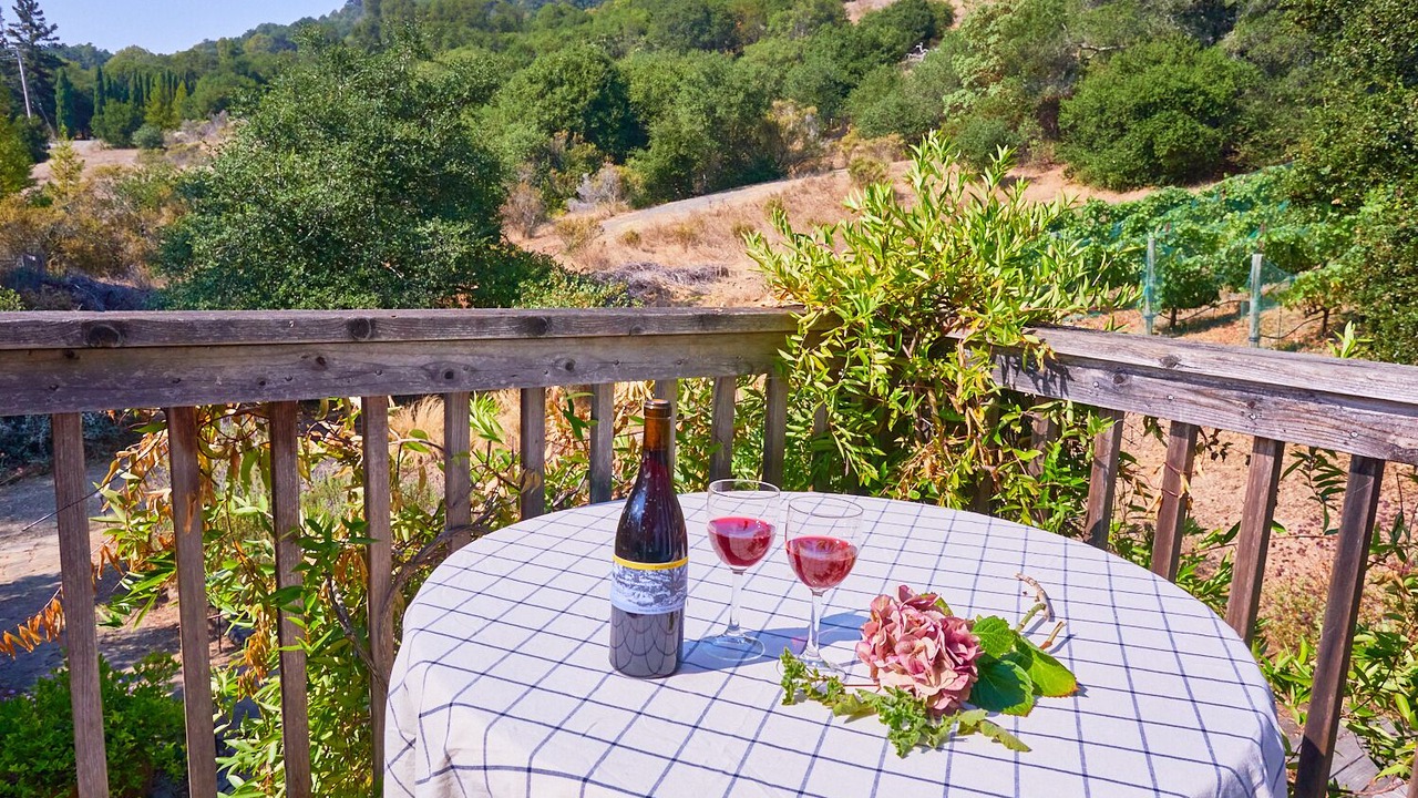 Photo of Outdoor in Santa Rosa