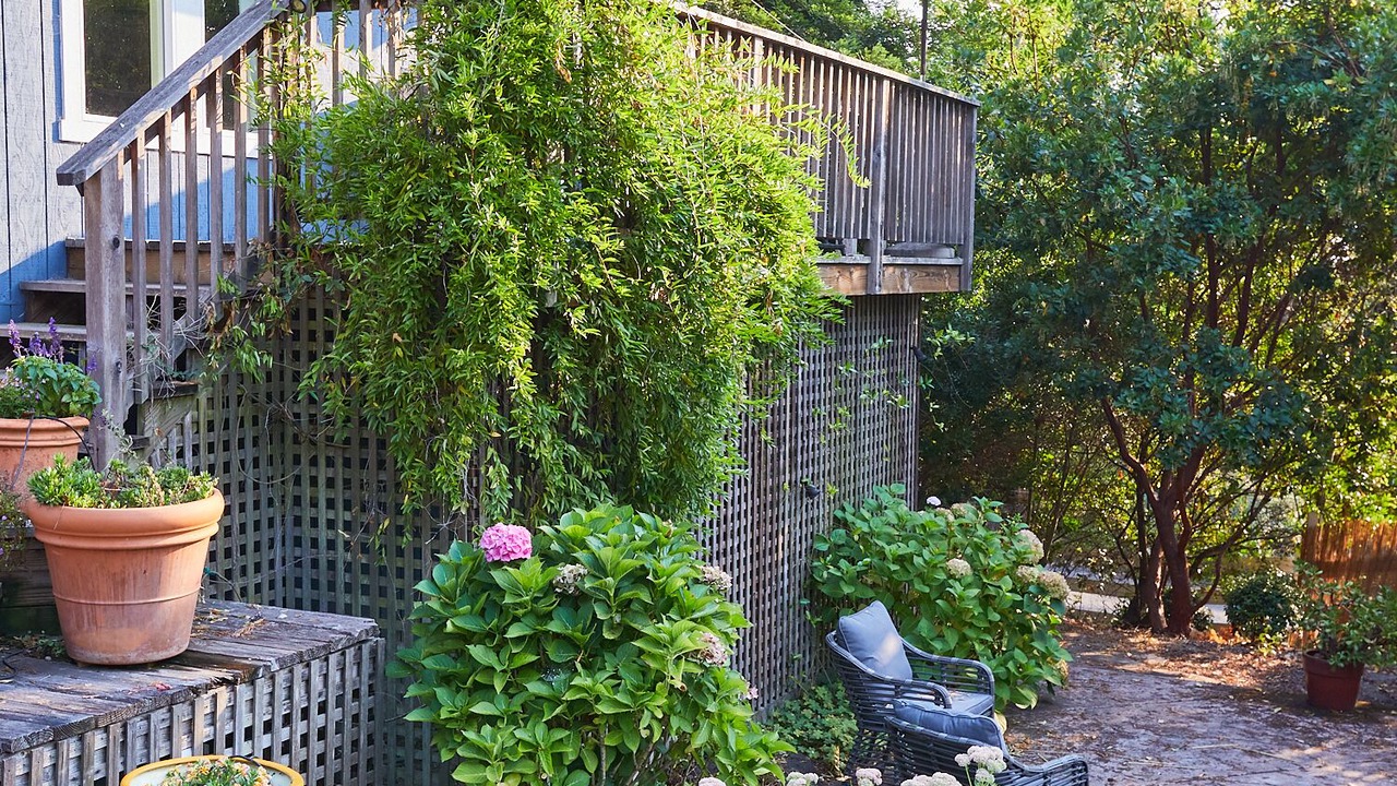 Photo of Patio Balcony in Santa Rosa