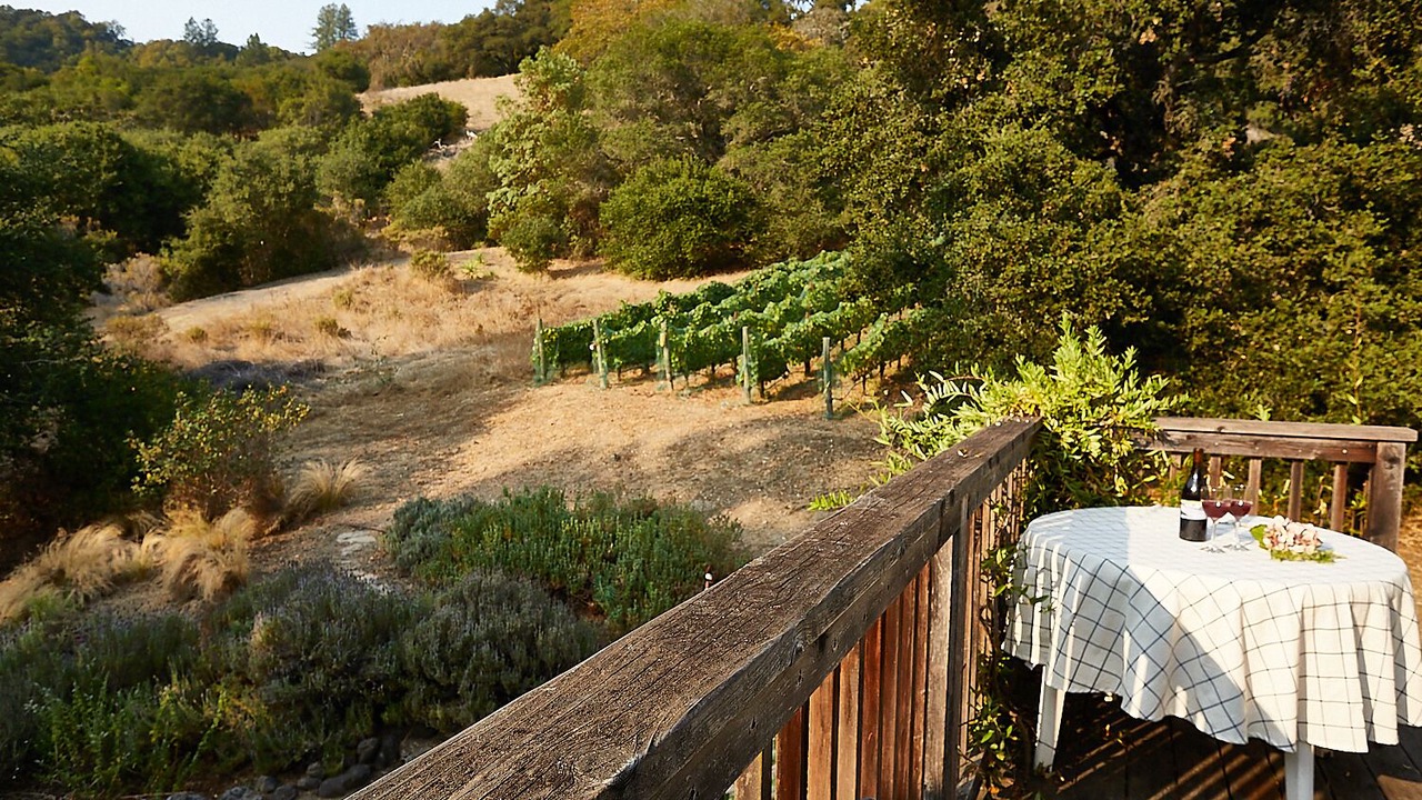 Photo of Outdoor in Santa Rosa