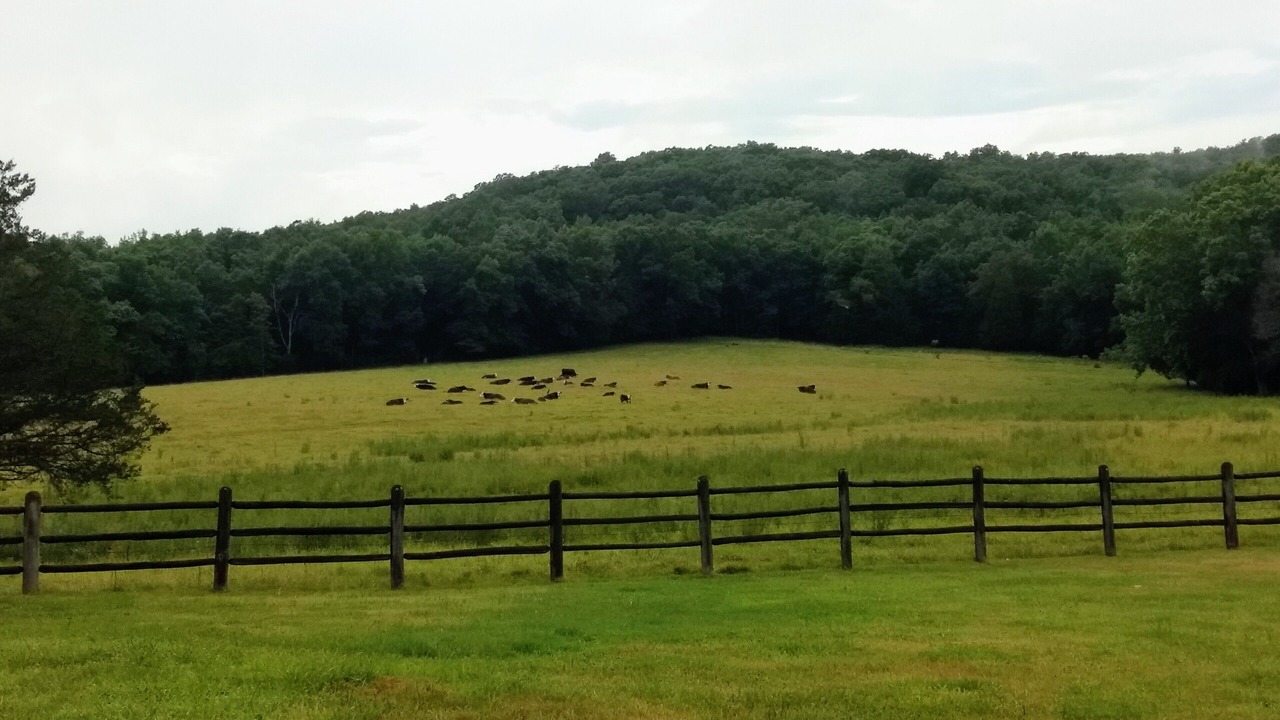 Photo of Outdoor in Vulcan