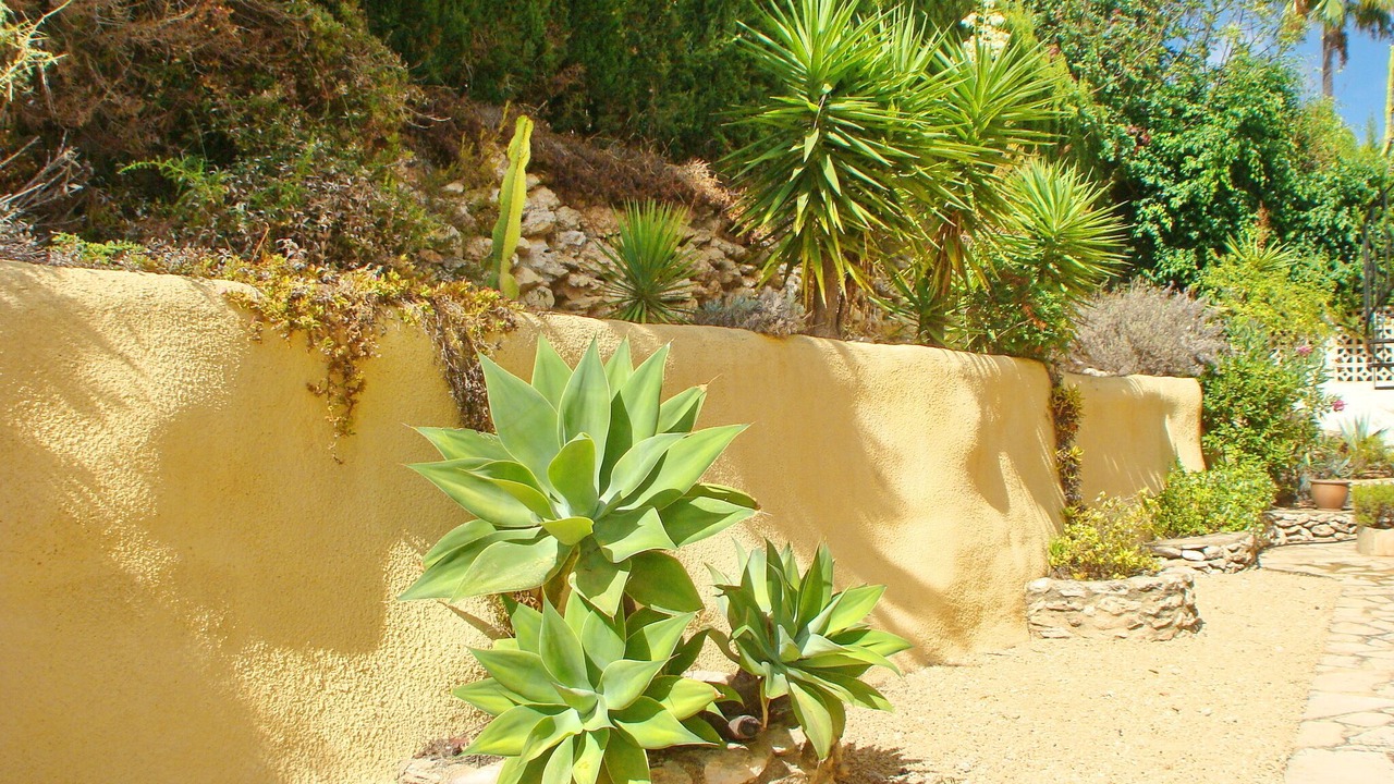 Photo of Others in Benimeit