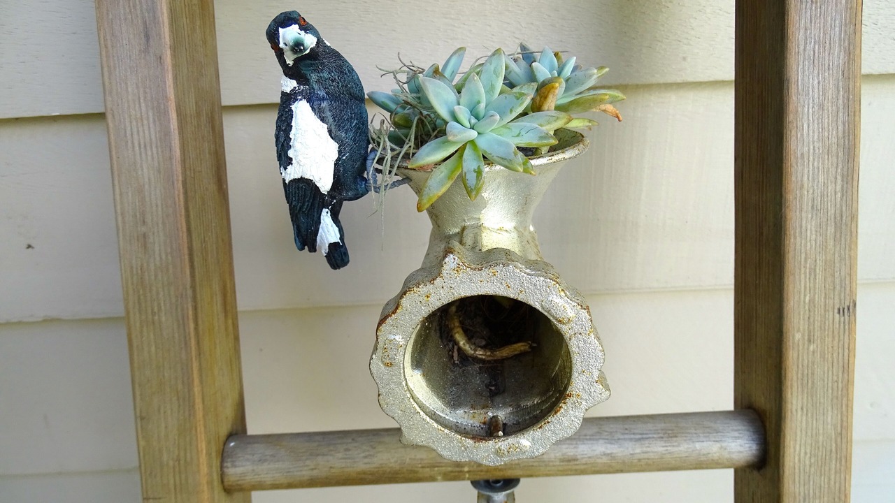 Photo of Others in Maleny