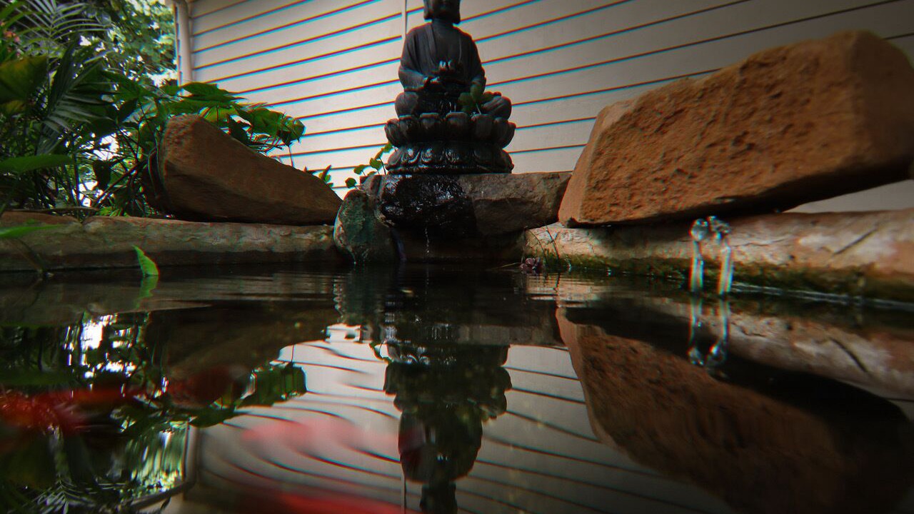 Photo of Outdoor in Maleny