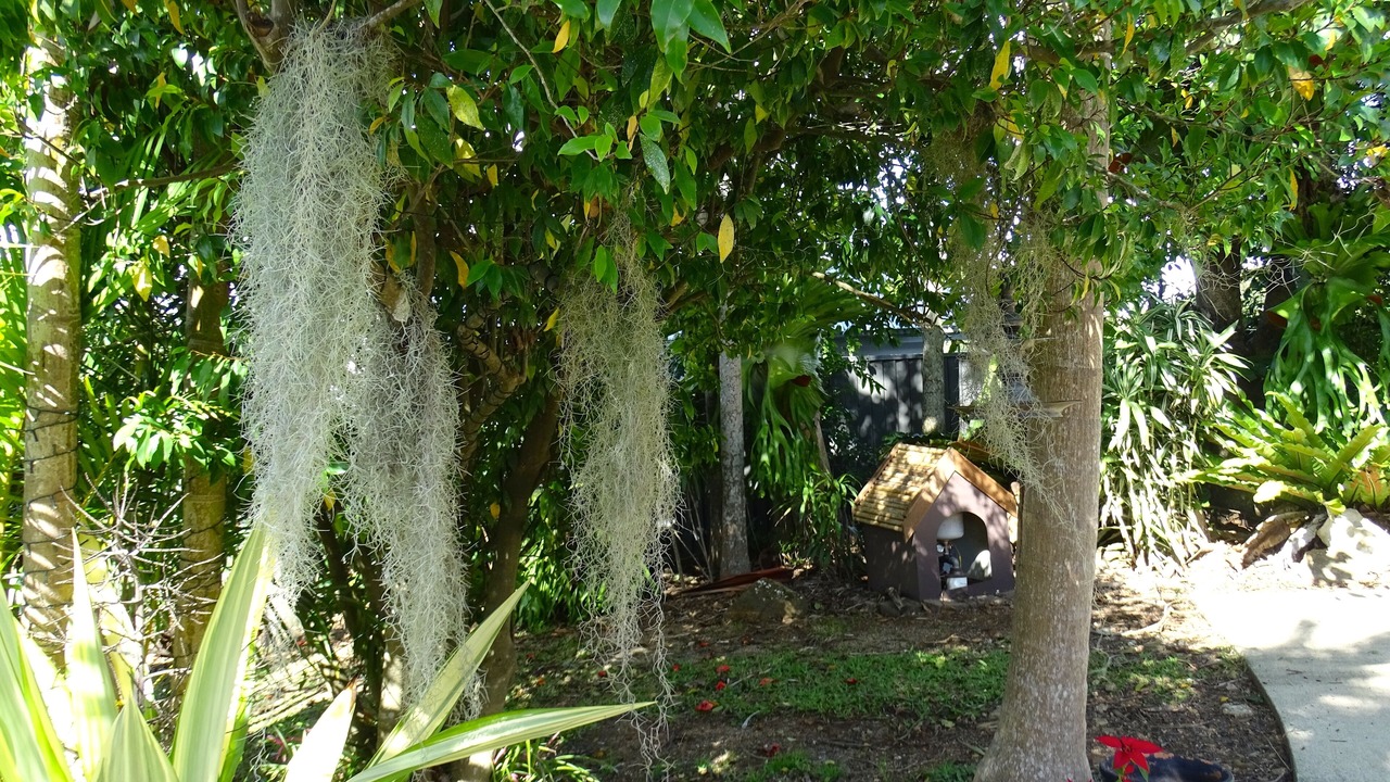 Photo of Outdoor in Maleny