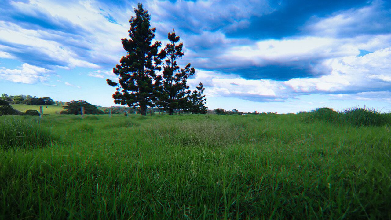 Photo of Outdoor in Maleny