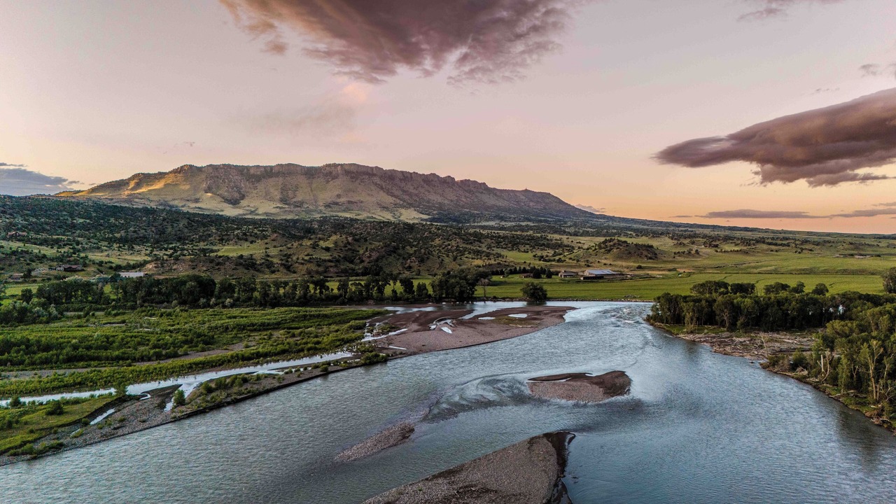 Photo of Others in Livingston