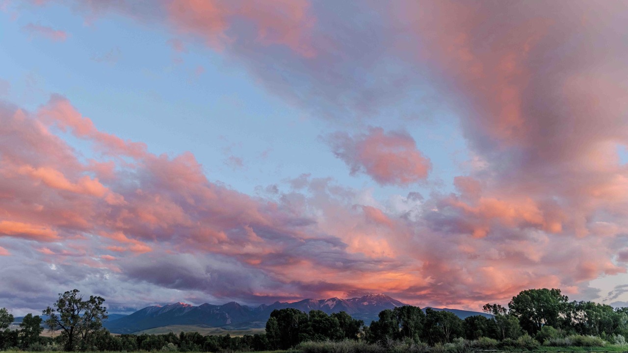 Photo of Outdoor in Livingston