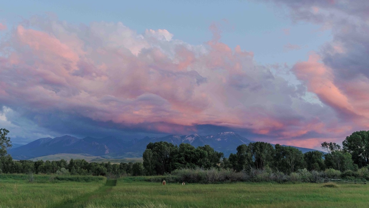 Photo of Others in Livingston