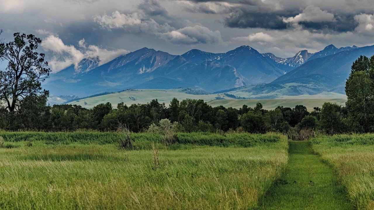 Photo of Others in Livingston