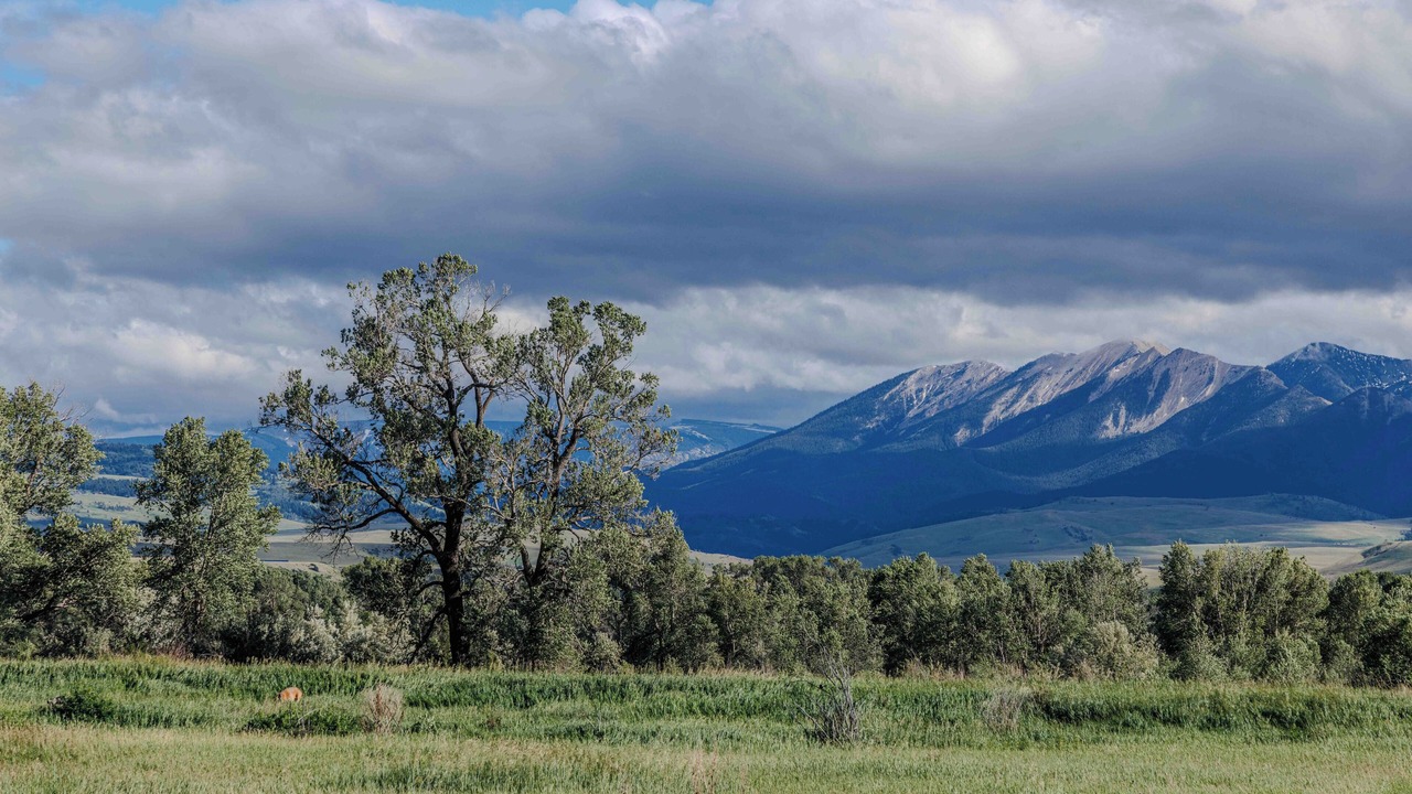Photo of Outdoor in Livingston
