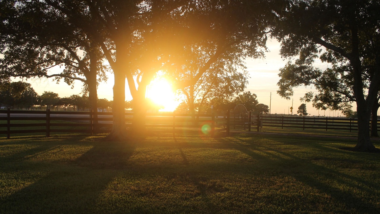 Photo of Others in Needville