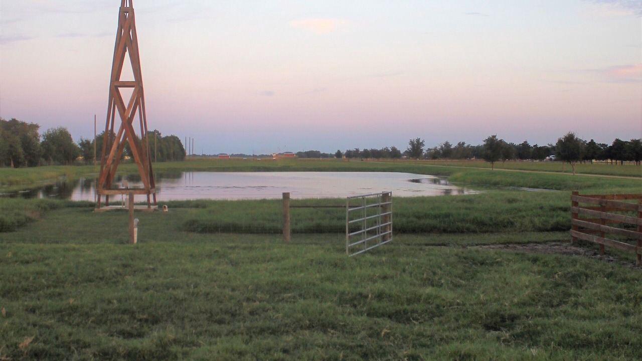 Photo of Others in Needville
