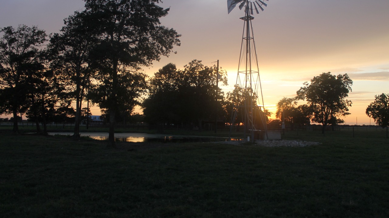 Photo of Others in Needville