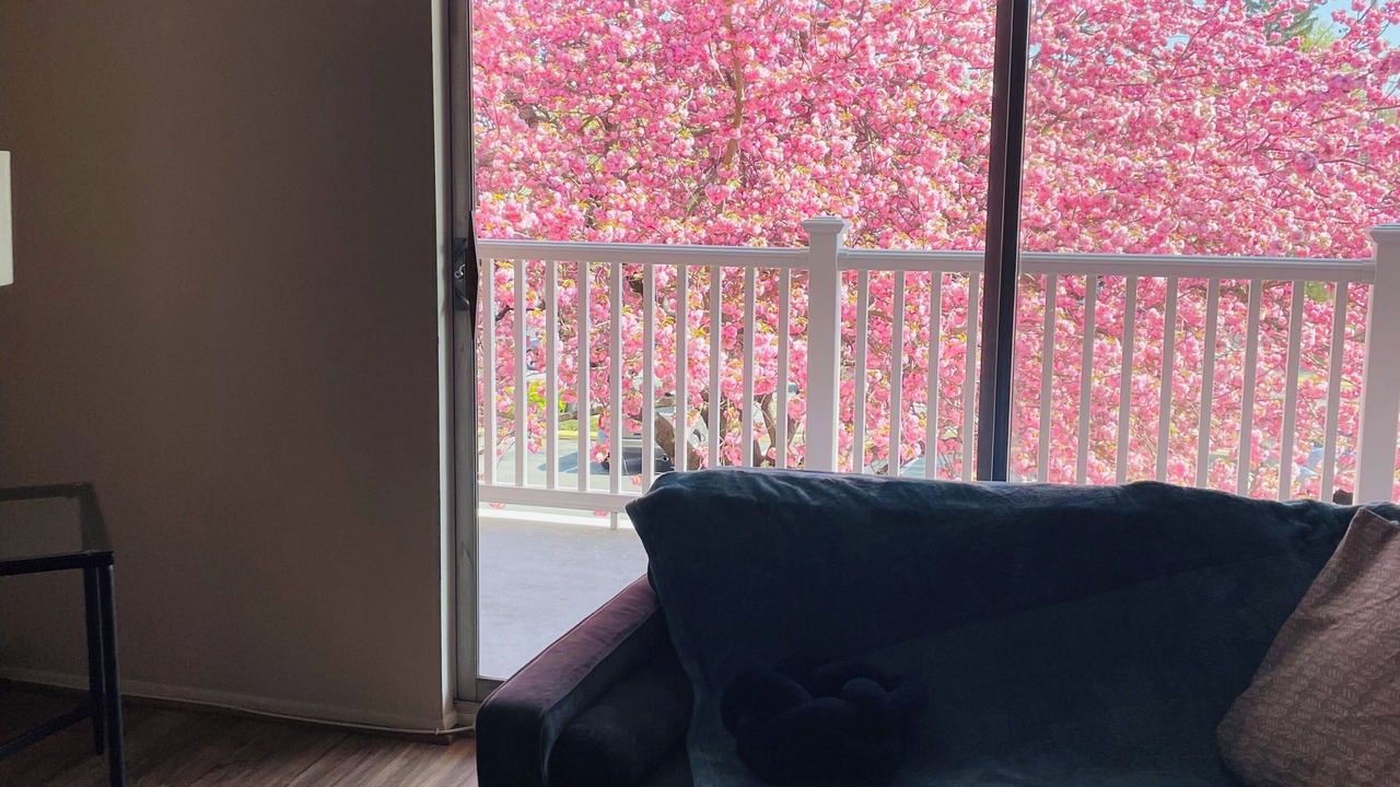 Photo of Livingroom in Foxcroft Square