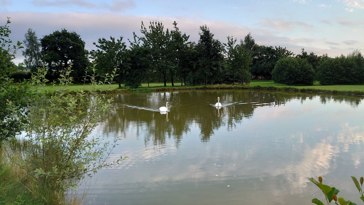 Photo of Outdoor in Alva