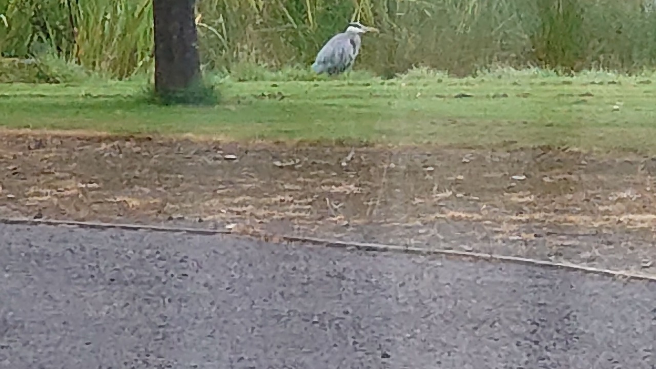 Photo of Outdoor in Alva