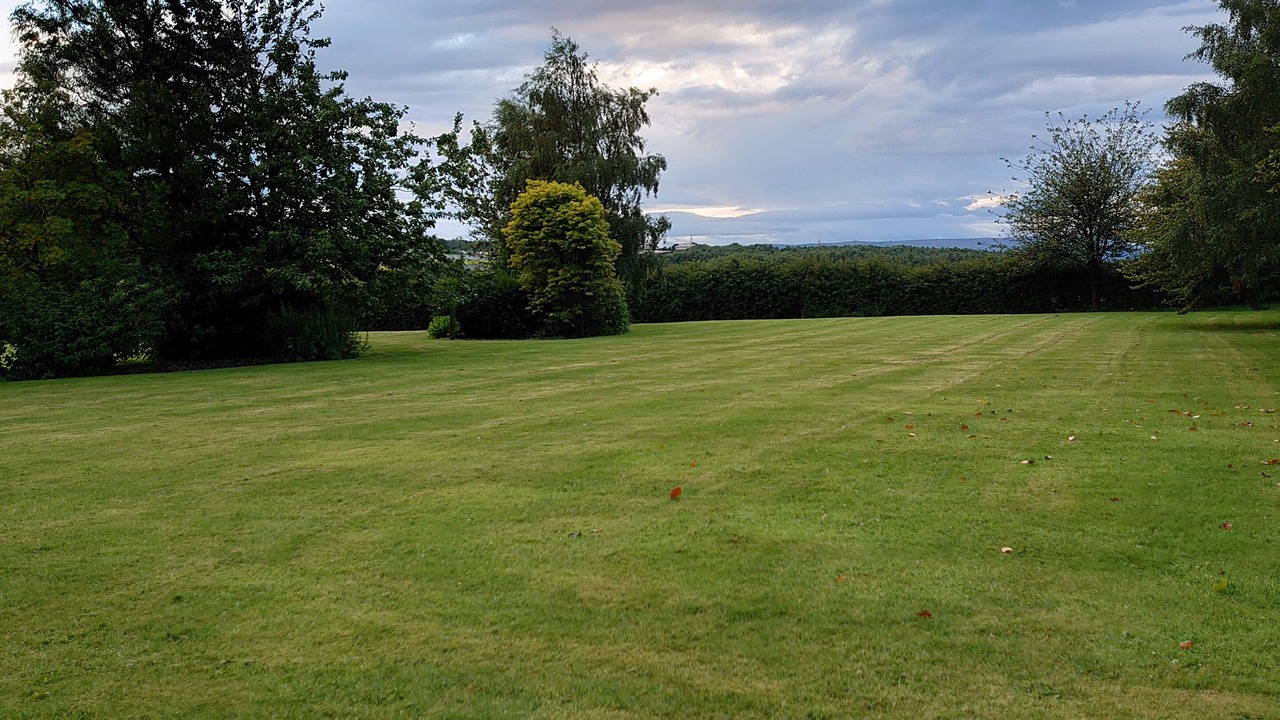 Photo of Others in Alva