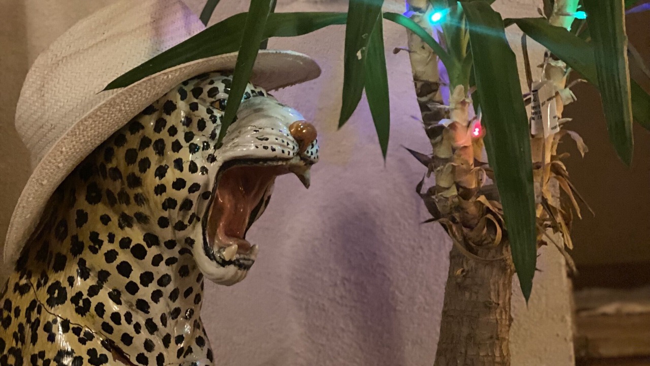 Photo of Others in Mons