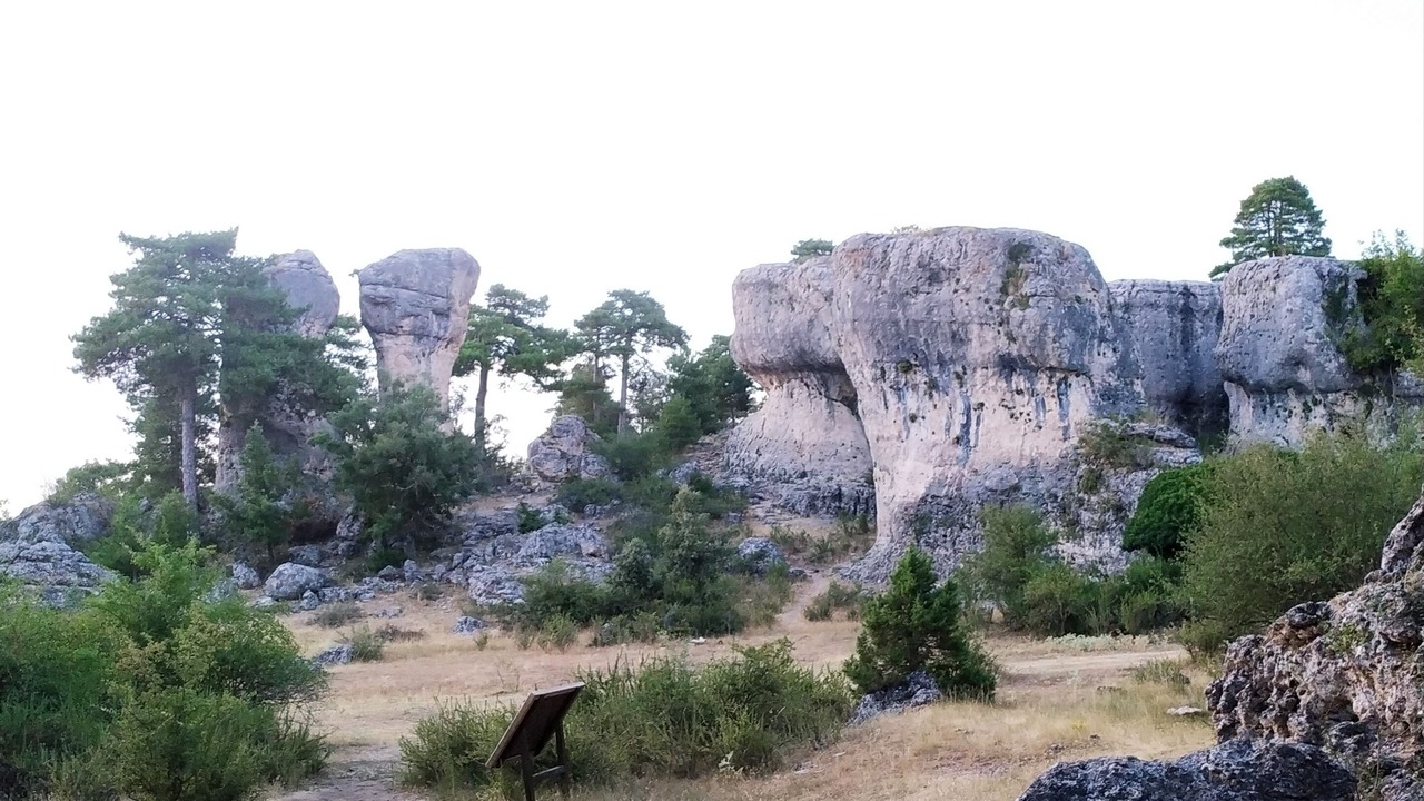 Photo of Others in Las Majadas
