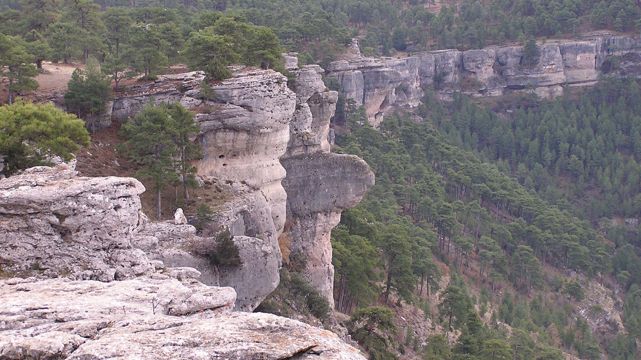 Photo of Outdoor in Las Majadas