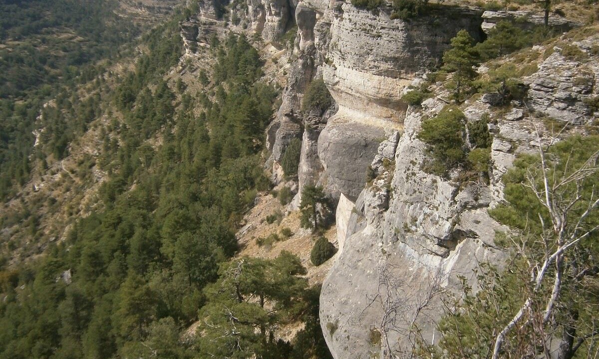 Photo of Outdoor in Las Majadas