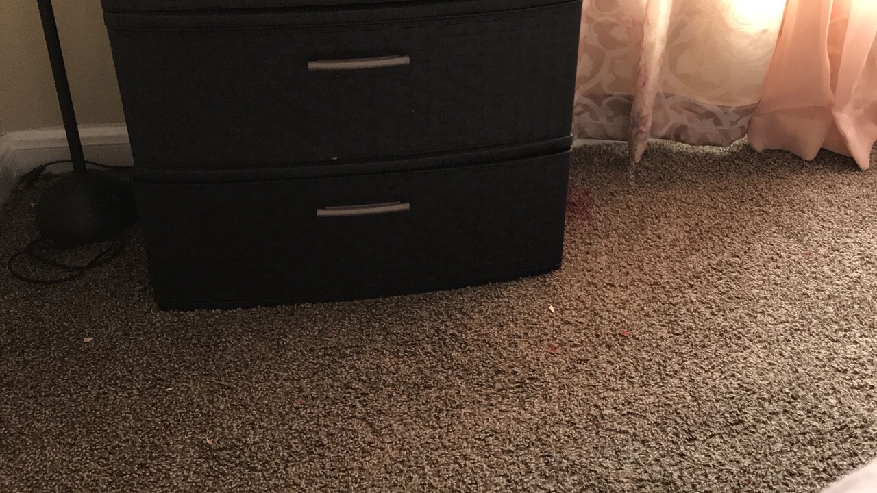 Photo of Bedroom in Garden Oaks