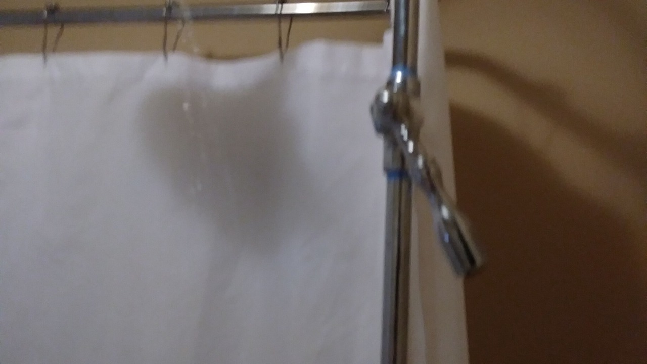 Photo of Bathroom in Monte Vista