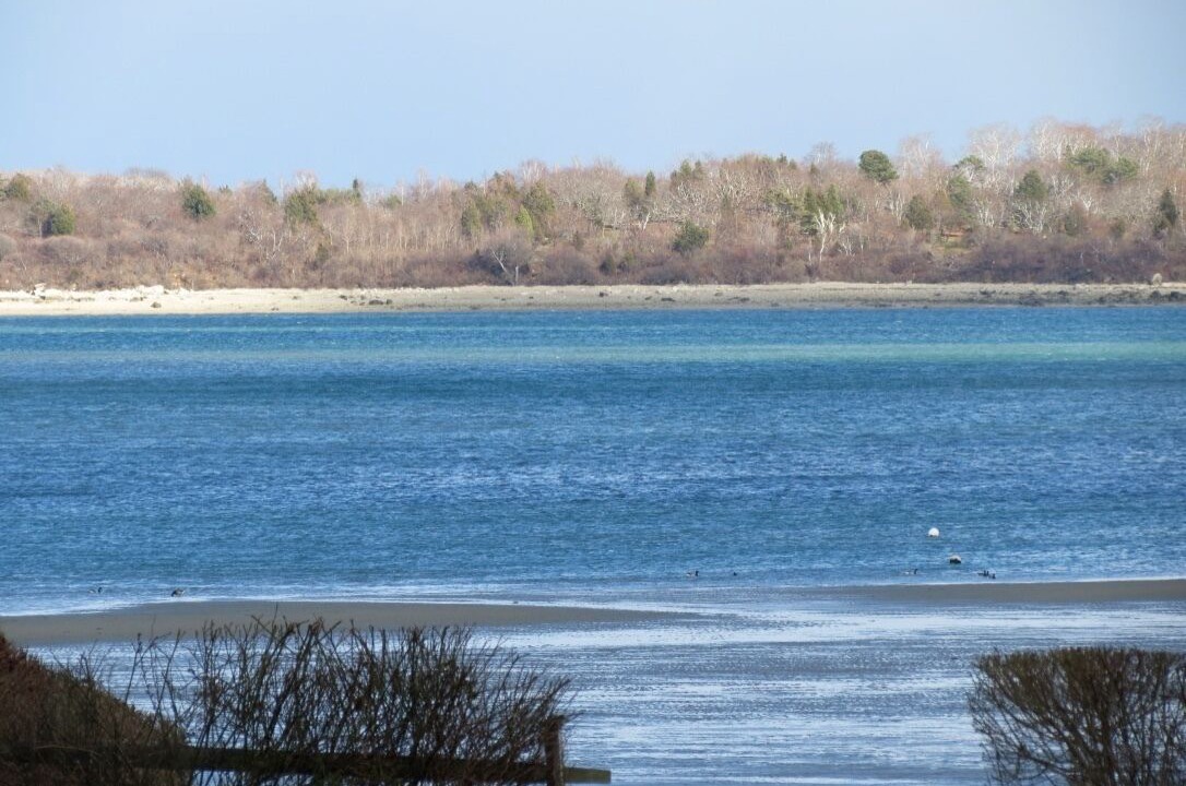 Photo of Others in South Duxbury