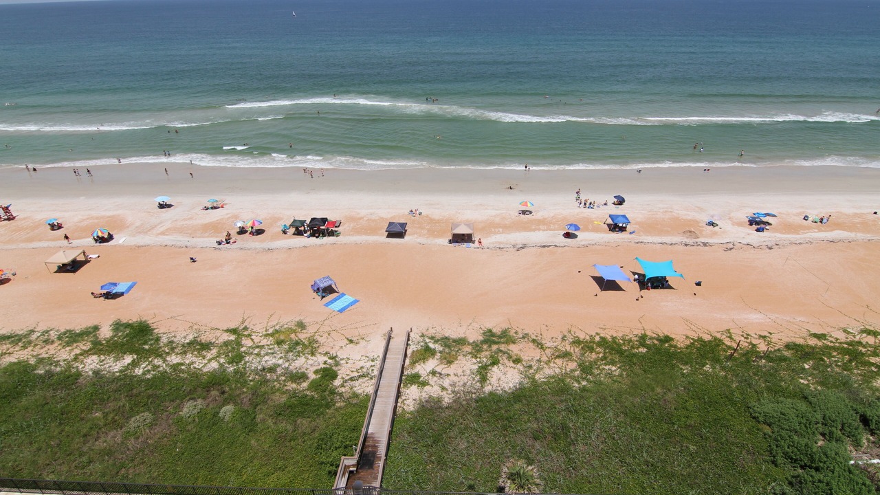 Photo of Others in Ormond-by-the-Sea