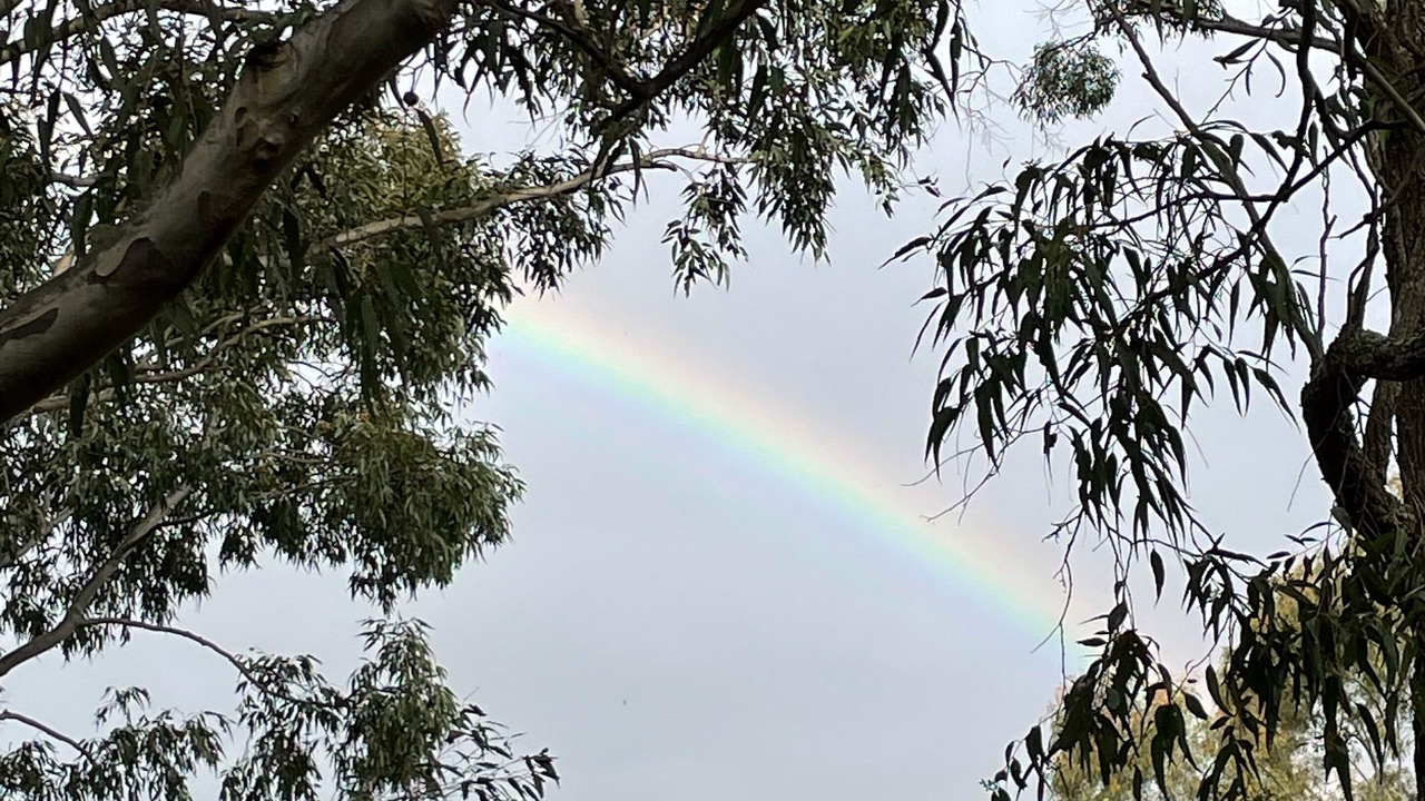 Photo of Patio Balcony in Pokolbin