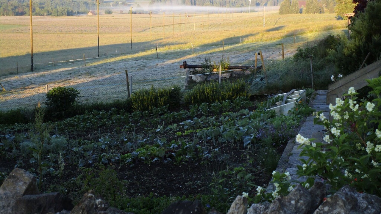 Photo of Outdoor in Muriaux