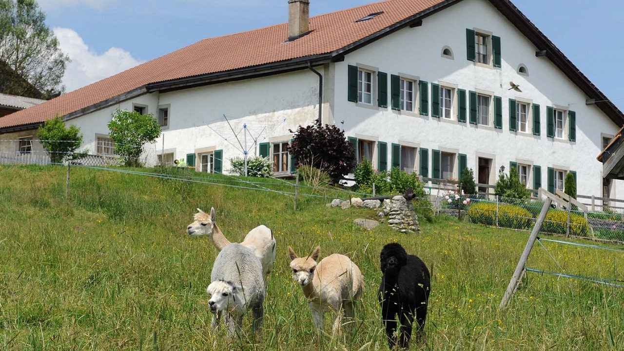 Photo of Others in Muriaux