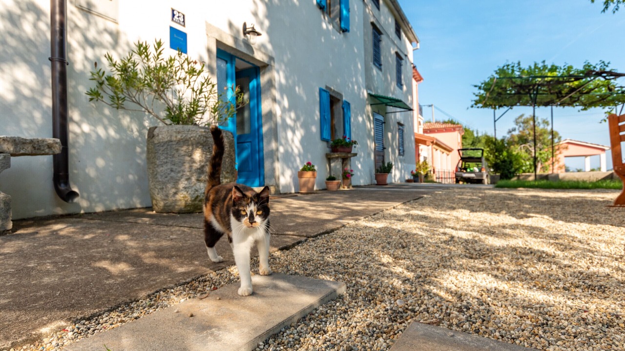 Photo of Outdoor in Sveta Marina