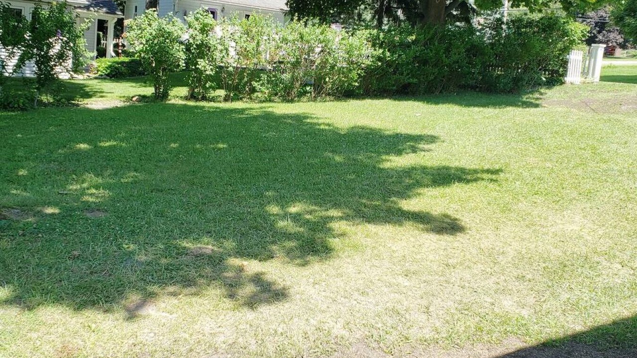 Photo of Outdoor in Livonia