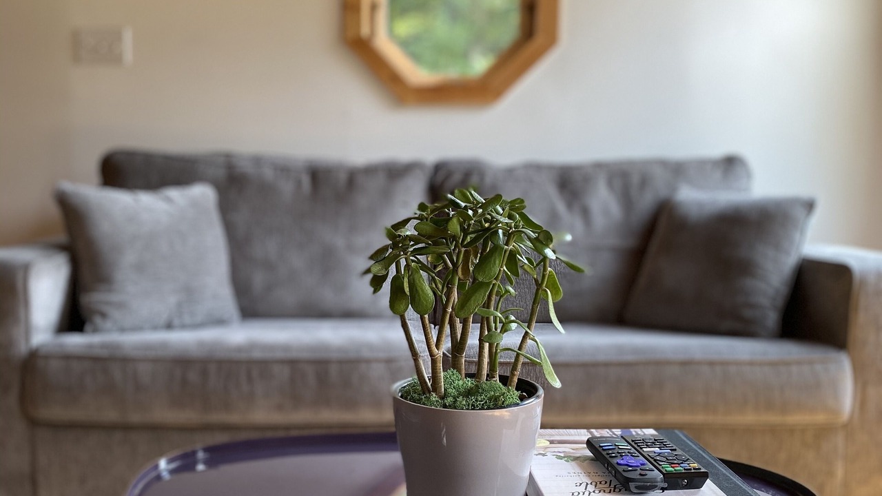 Photo of Livingroom in Downsville