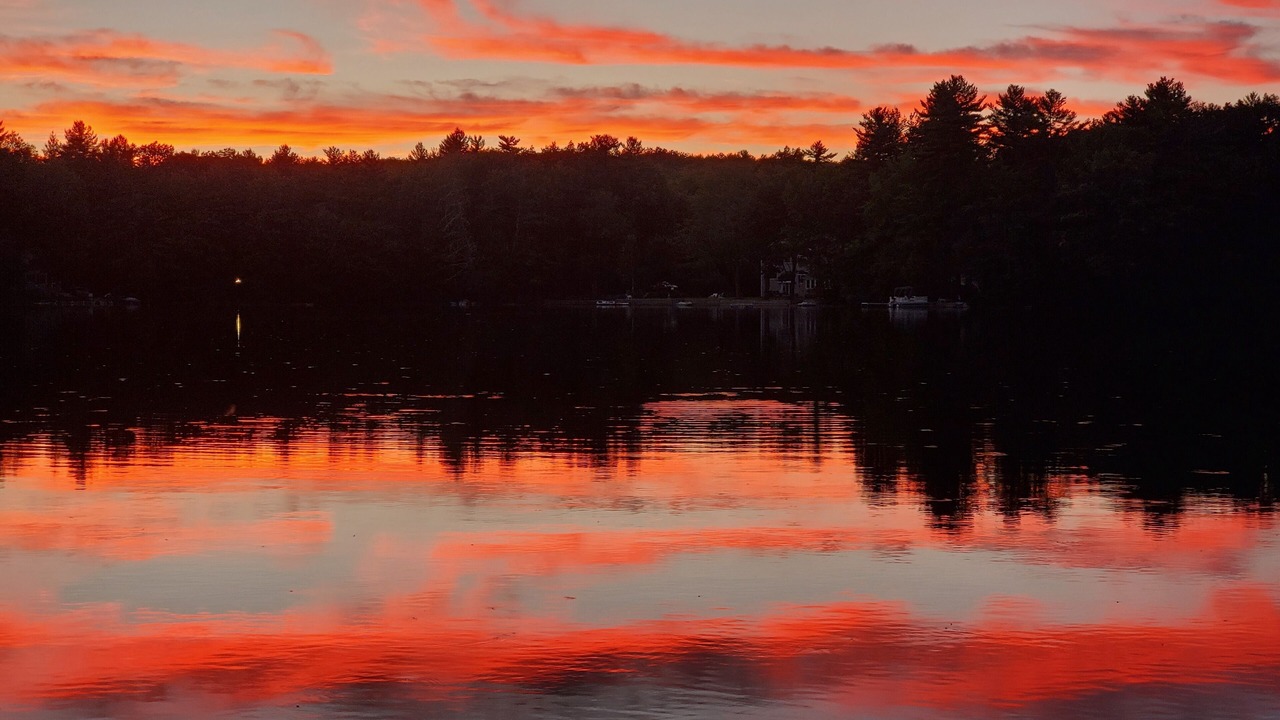 Photo of Others in Lyman