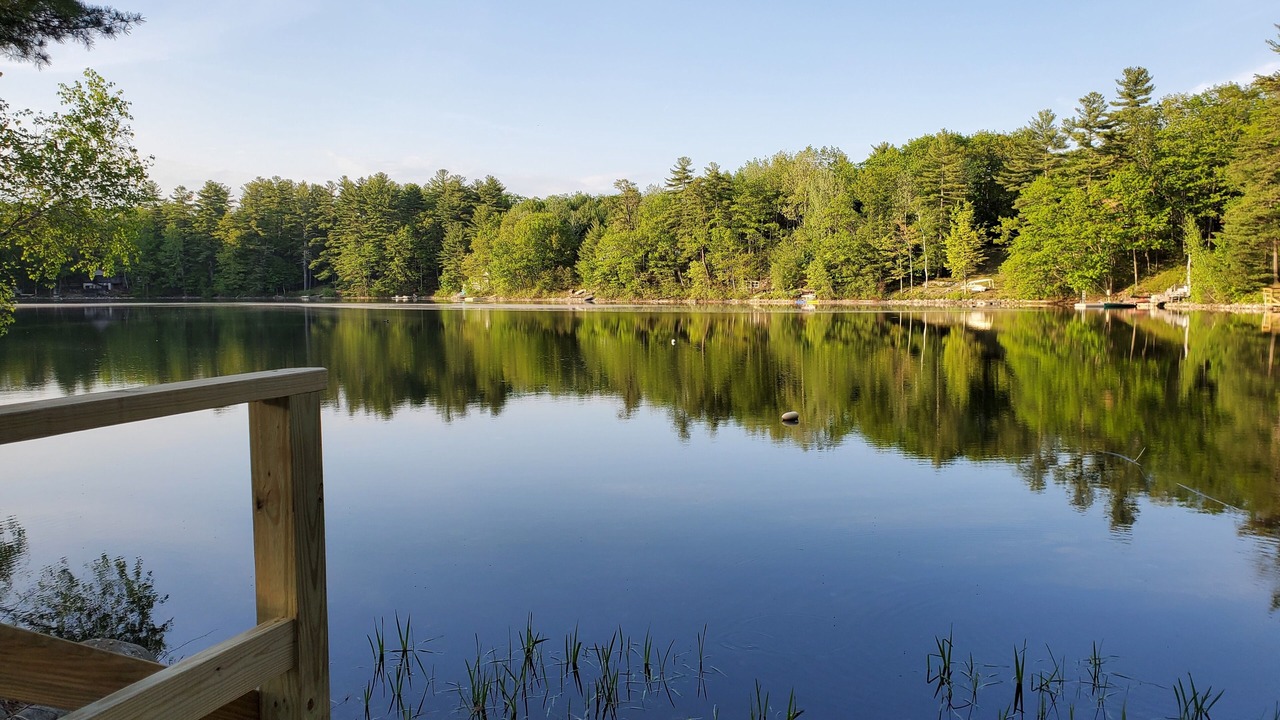 Photo of Others in Lyman