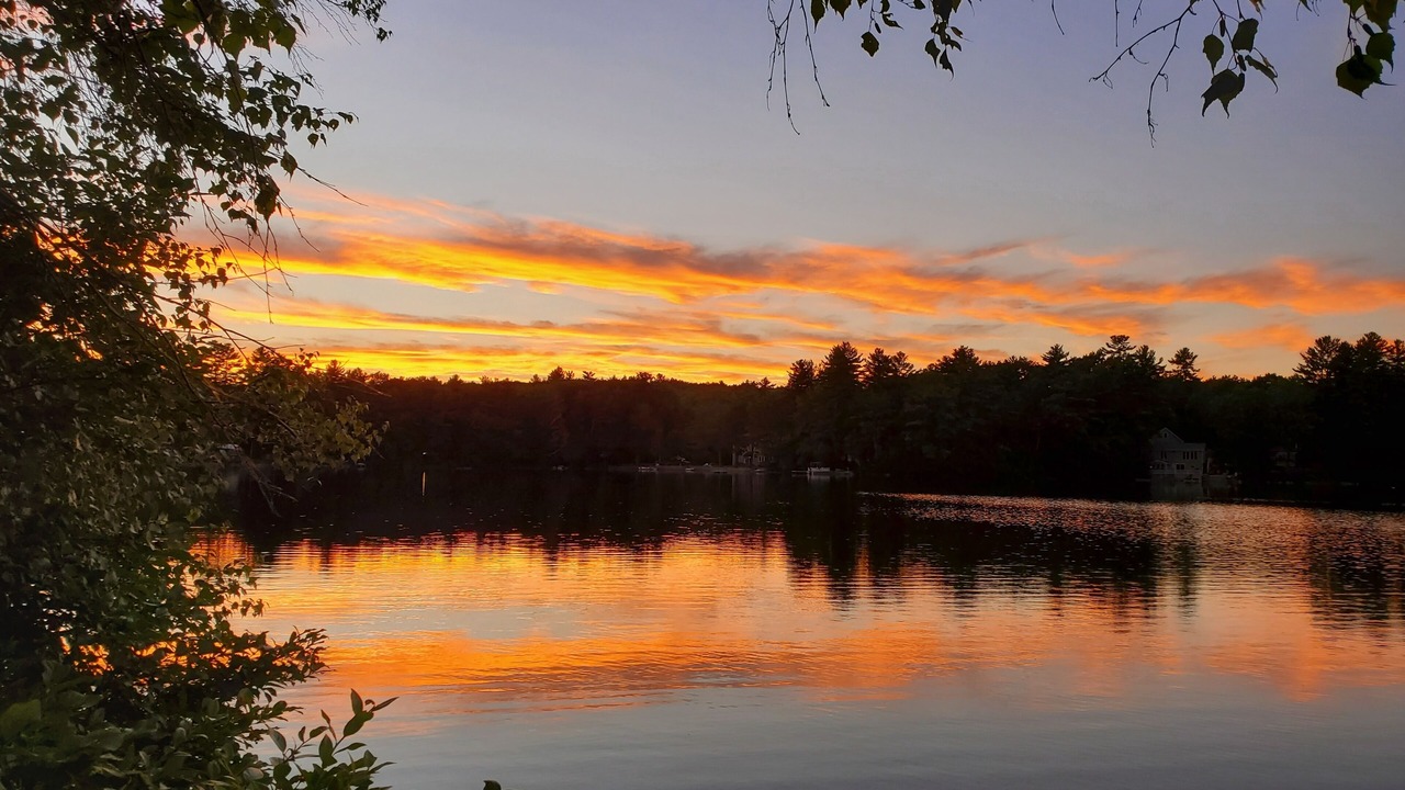 Photo of Others in Lyman