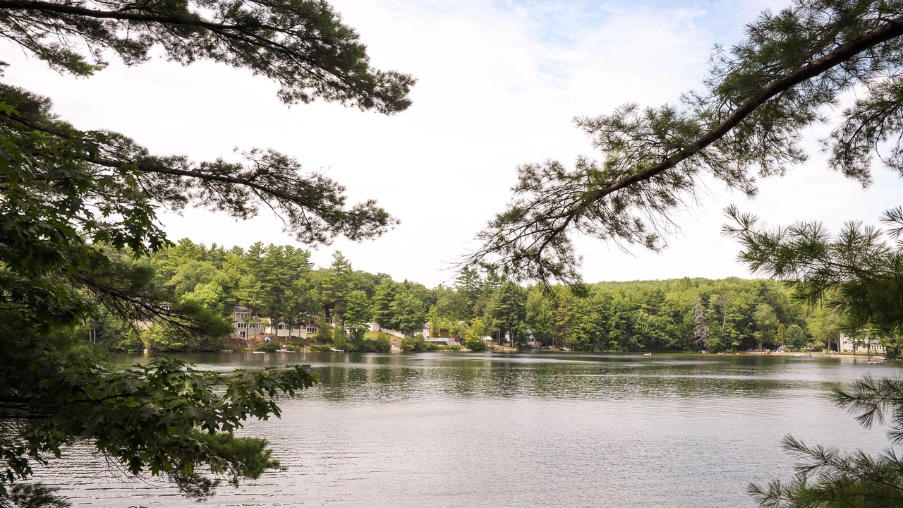 Photo of Others in Lyman