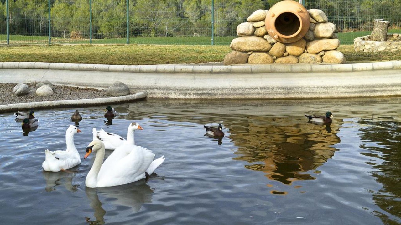 Photo of Outdoor in Queixas