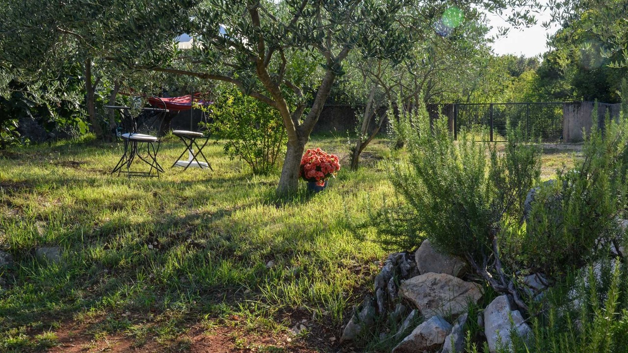 Photo of Outdoor in Sveti Vid Dobrinjski