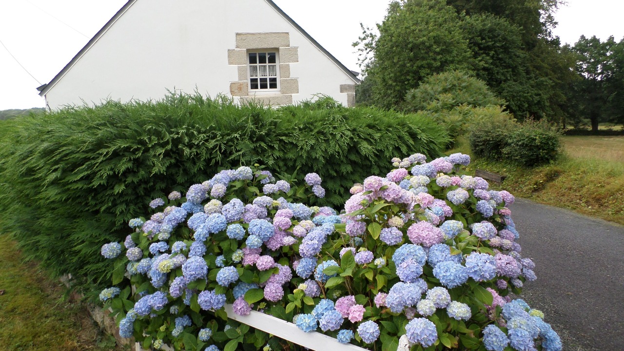 Photo of Outdoor in Saint-Tugdual