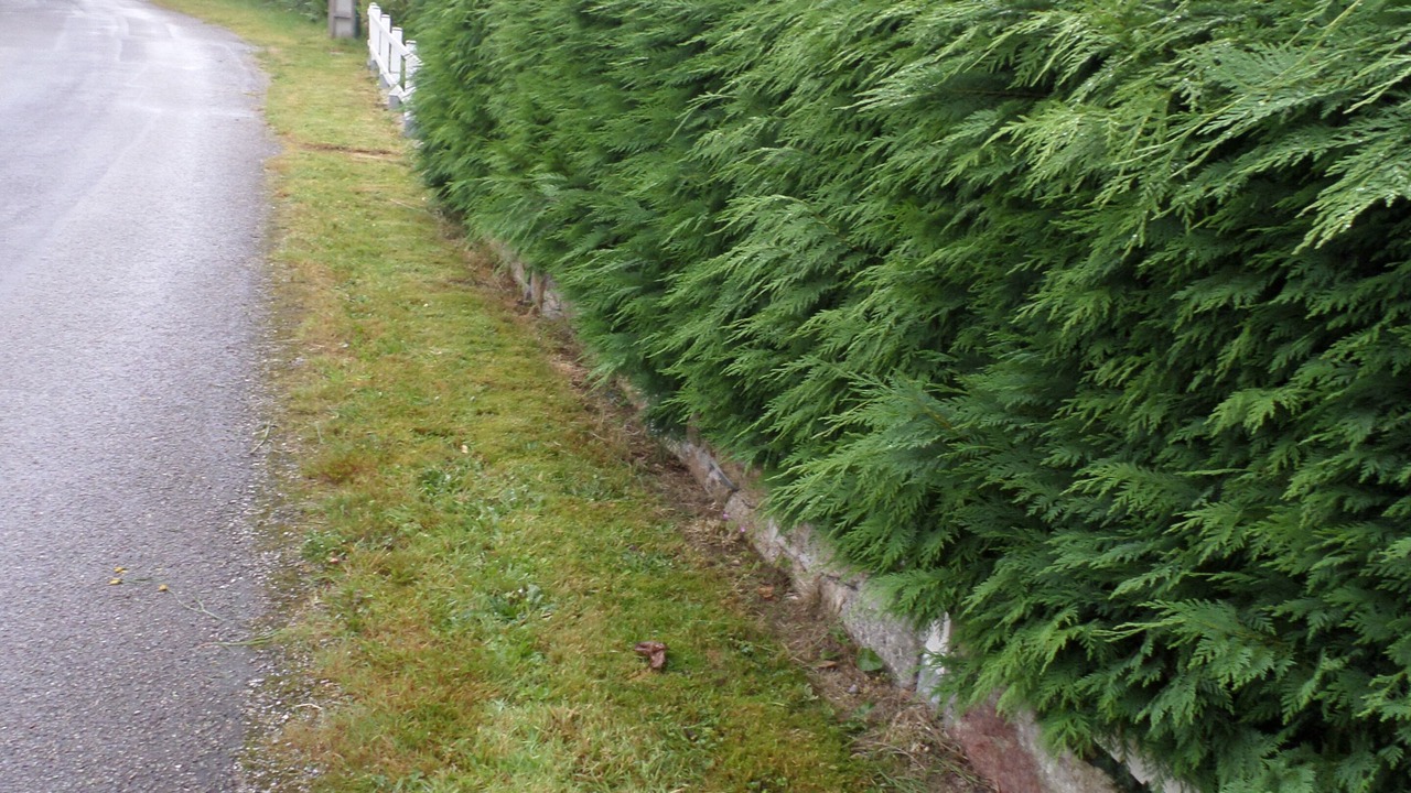 Photo of Outdoor in Saint-Tugdual