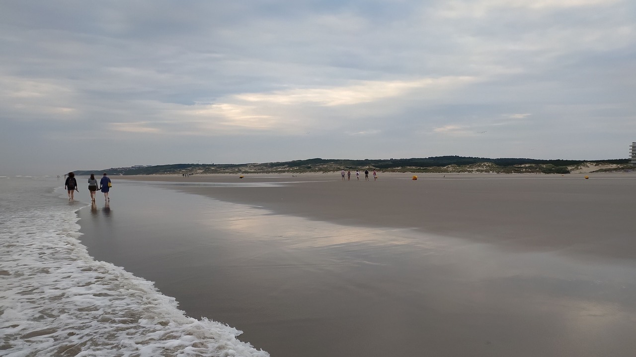 Photo of Others in Hesdin-l'Abbe