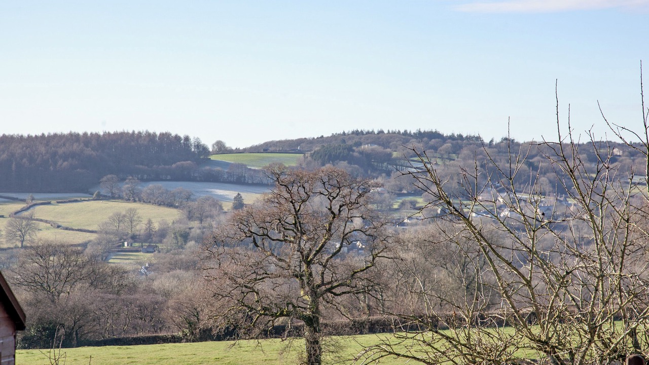 Photo of Others in Bishopswood